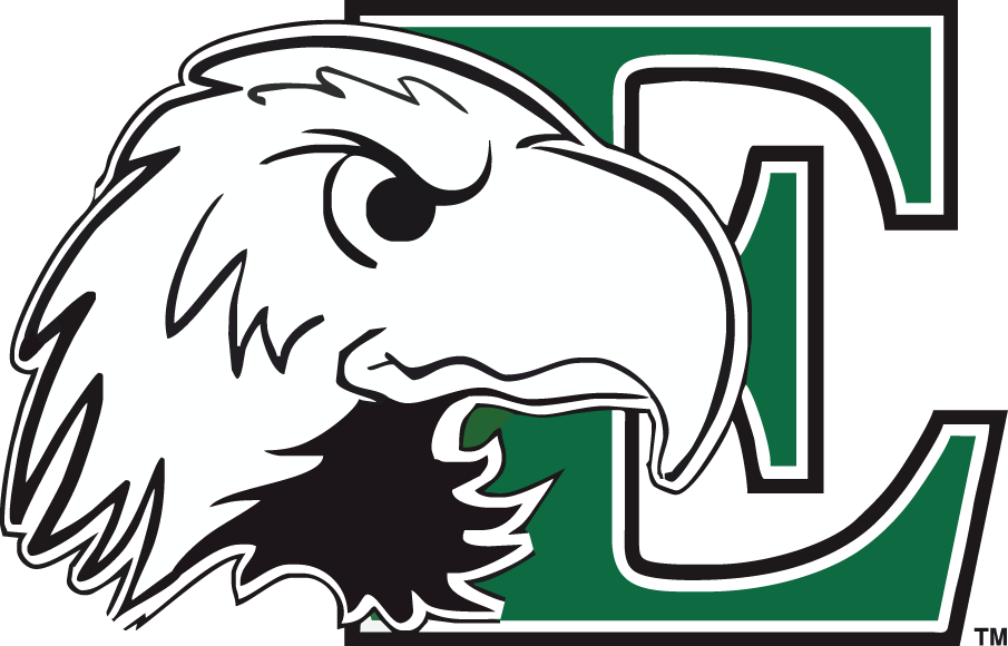 Eastern Michigan Eagles 2003-2012 Primary Logo diy DTF decal sticker